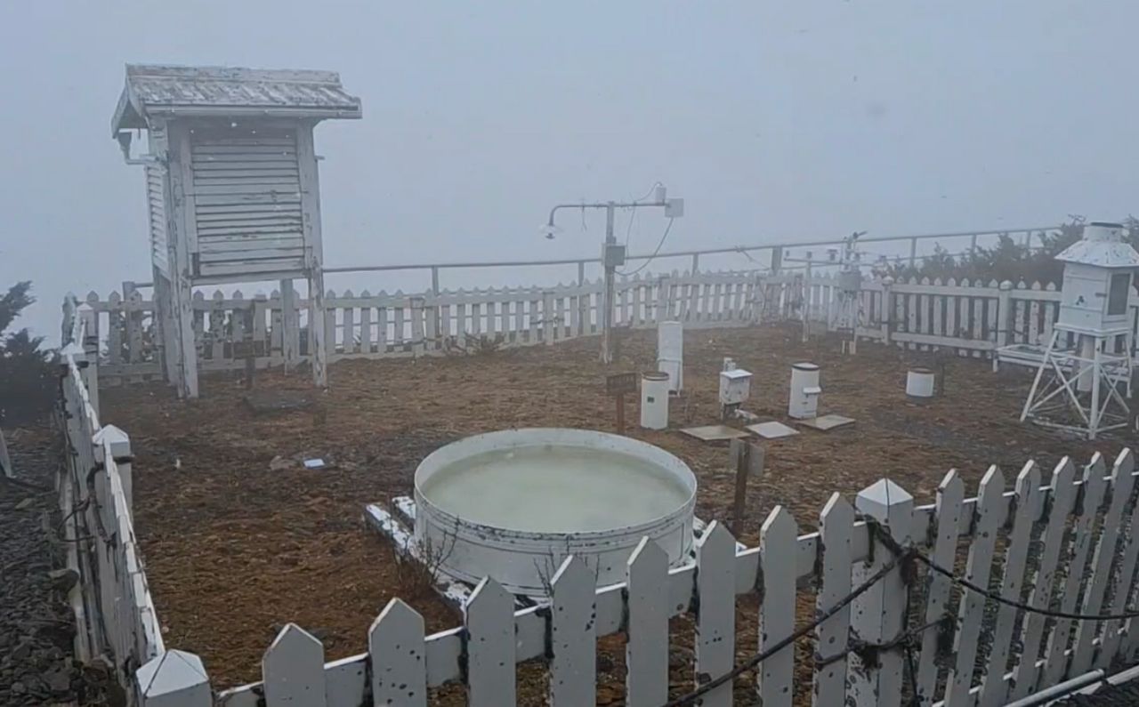 畫面曝光!玉山中午再飄雪1小時 雪花落地即融未積雪