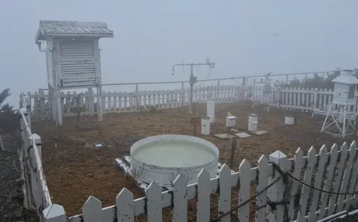 畫面曝光！玉山中午再飄雪1小時　雪花落地即融未積雪