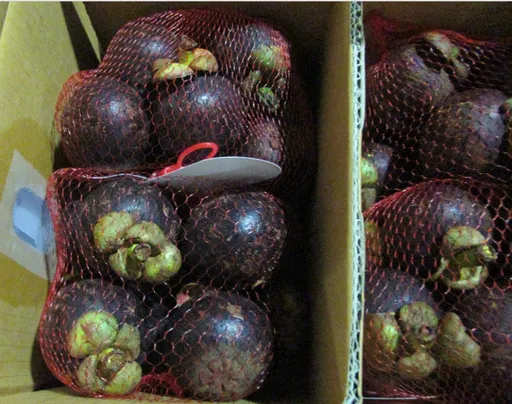 農業試驗所遭詐騙集團盯上　冒名賣山竹一箱只要249元