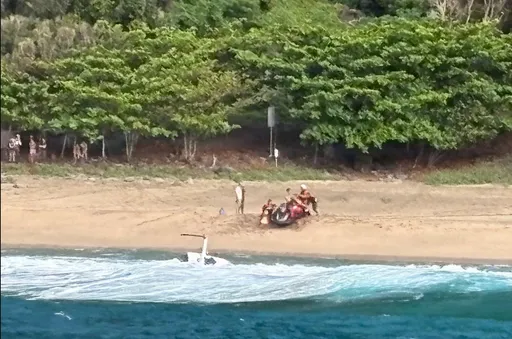 一去不回...夏威夷觀光直升機墜海　3死2傷