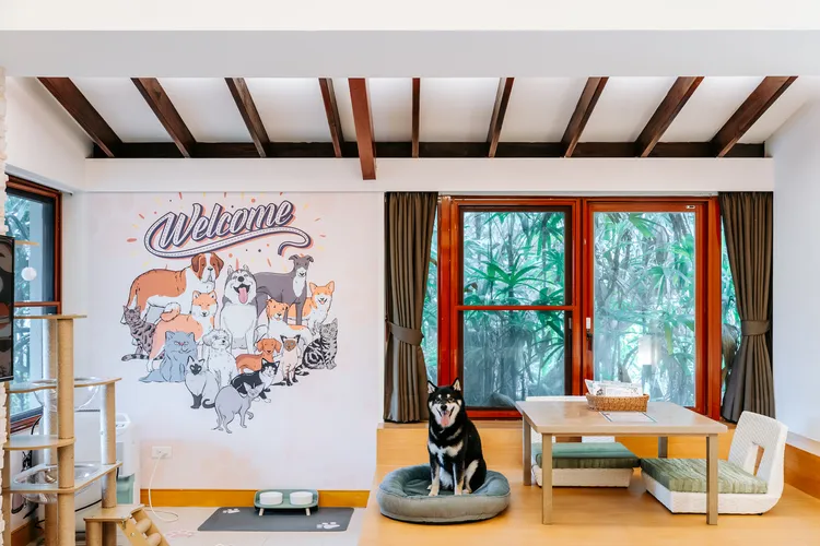 即日起可入住全台3館寵物房專案。福容大飯店提供