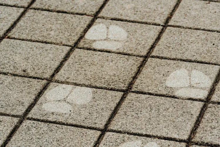 圖10害羞的喬巴為了閃避人群，慌張地在高雄各處現身，不管在捷運、大馬路上，低頭都能發現喬巴足跡。Netflix提供