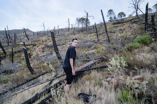 駐村創作躍上ARCO藝博會　台灣藝術家劉呈祥3作亮相馬德里