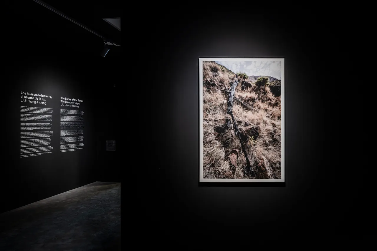 〈Still Light〉以焦木為媒介，呈現時間留下的裂紋與痕跡。文化部提供