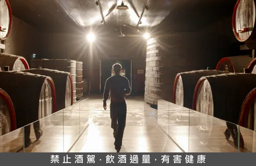 奔富聯名 Troye Sivan 推 Bin 389 限量紅酒！巴黎時裝週首度亮相