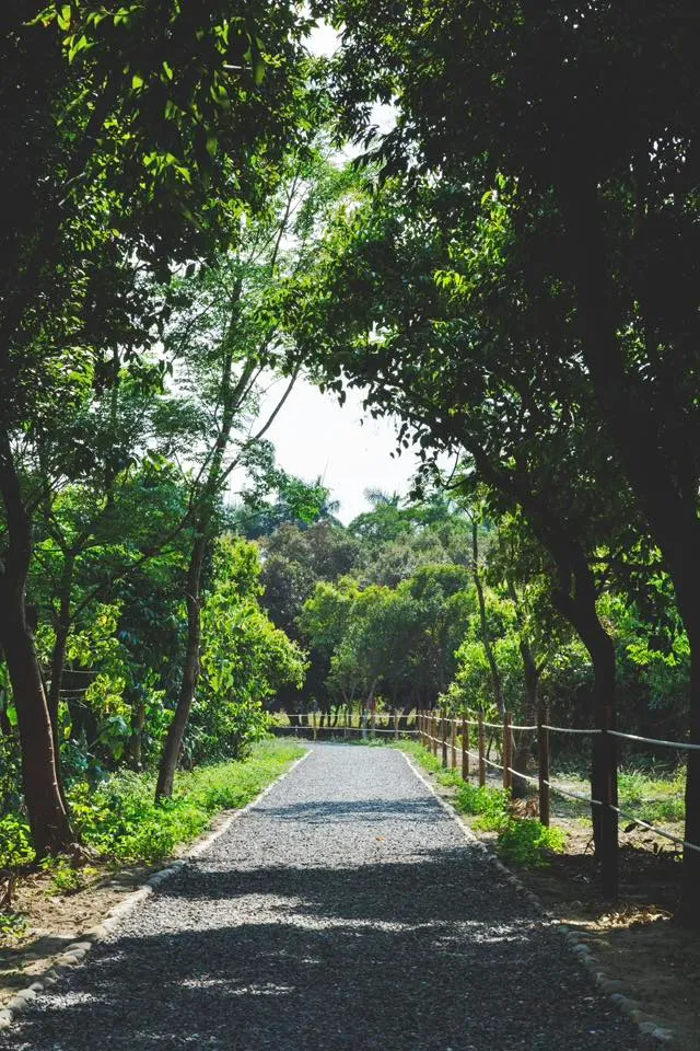 萬丹森林公園的「環園步道」走一圈剛好1公里。屏東縣府提供