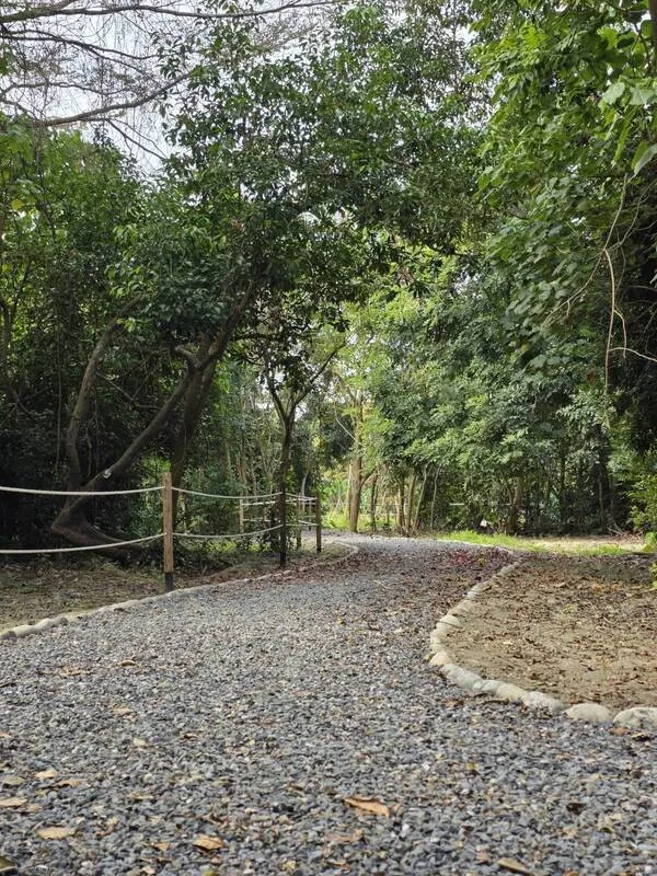 屏東萬丹森林公園規劃多條親近自然步行動線，可感受森林靜謐氛圍。屏東縣府提供