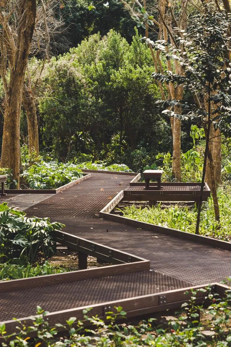 萬丹森林公園的環園步道與生態觀察棧道，綠意盎然。屏東縣府提供