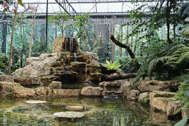 礁溪晶泉丰旅春季三天兩夜專案推出蘭花園生態館體驗，走訪金車礁溪蘭花園附設動植物生態館，探索蘭花展示與雨林綠境。晶泉丰旅提供