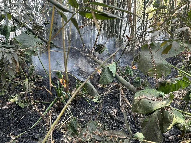 火勢約1小時左右撲滅，燃燒面積約500平方公尺。民眾提供