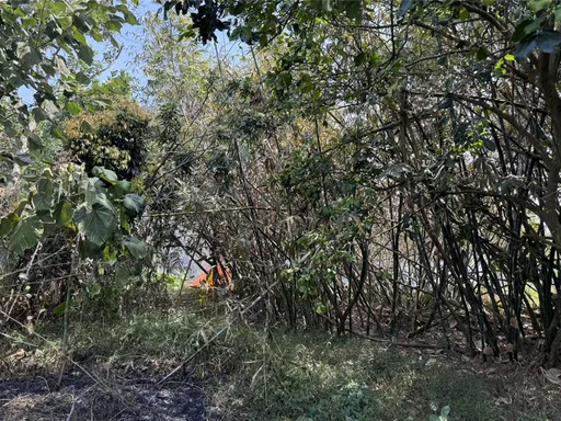 嘉市雜草林起火！警消到場驚見有人倒地　7旬整地工送醫不治