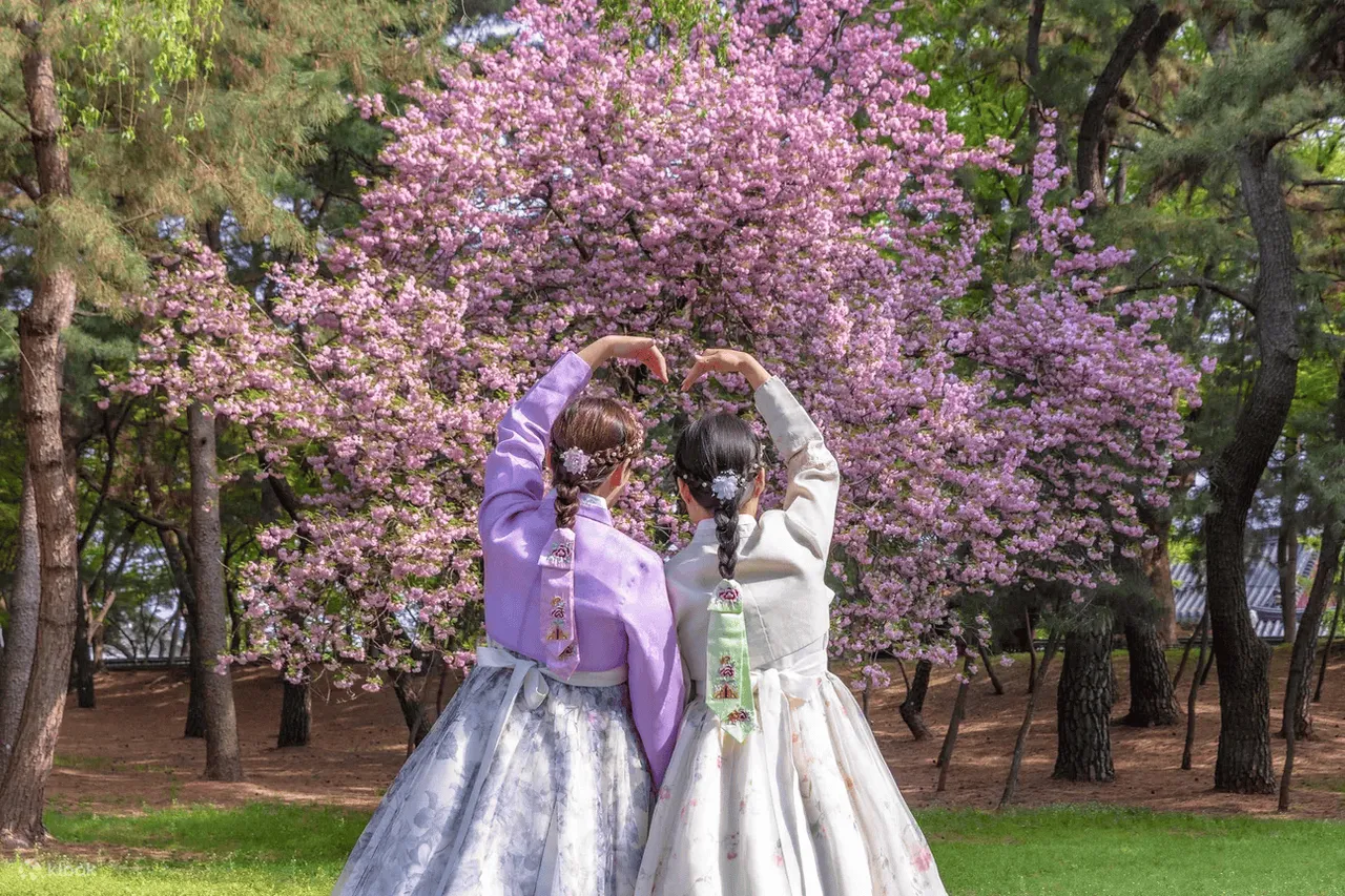 遊客趁春季穿著韓服於賞櫻時拍下社群美照。業者提供