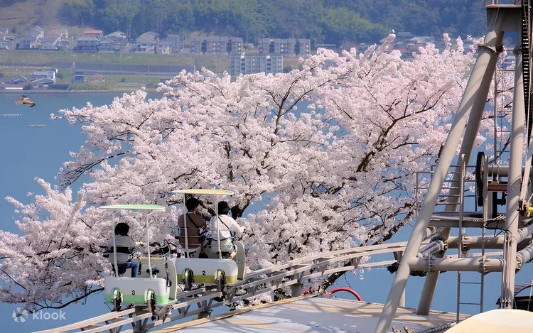 位在宮津市的天橋立一日遊為賞櫻熱門行程。業者提供