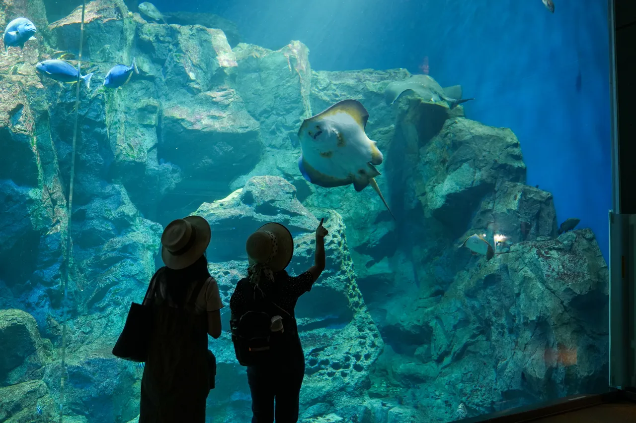 水族賣場開24小時　他疑惑半夜那麼多人買烏龜黃金鼠？