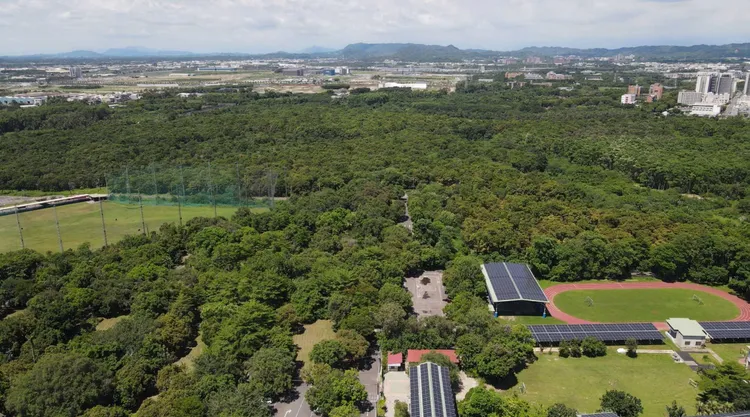 橋頭糖廠百頃森林，面積是大安森林公園的七倍。翻攝畫面