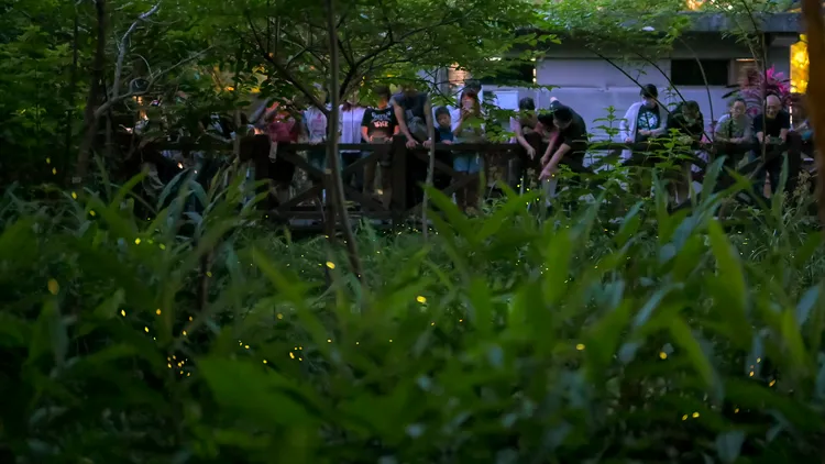 榮星花園公園每週末提供志工導覽。台北市工務局提供
