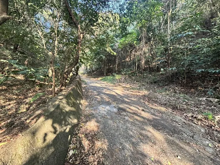 百果山虐殺案現場。翻攝畫面