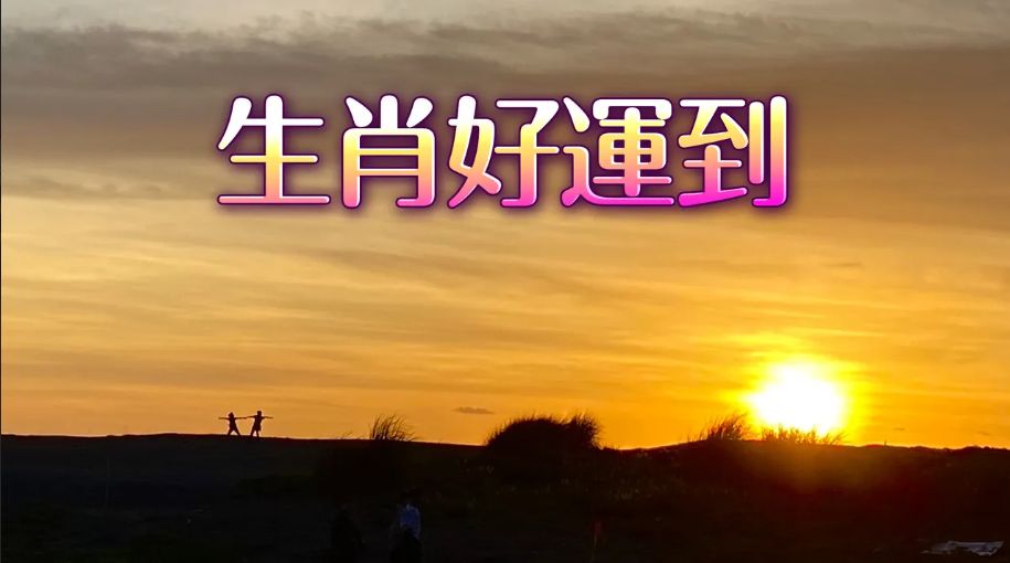 12生肖本周運勢|龍有憂心事 牛業務暴增 鼠必須忌口