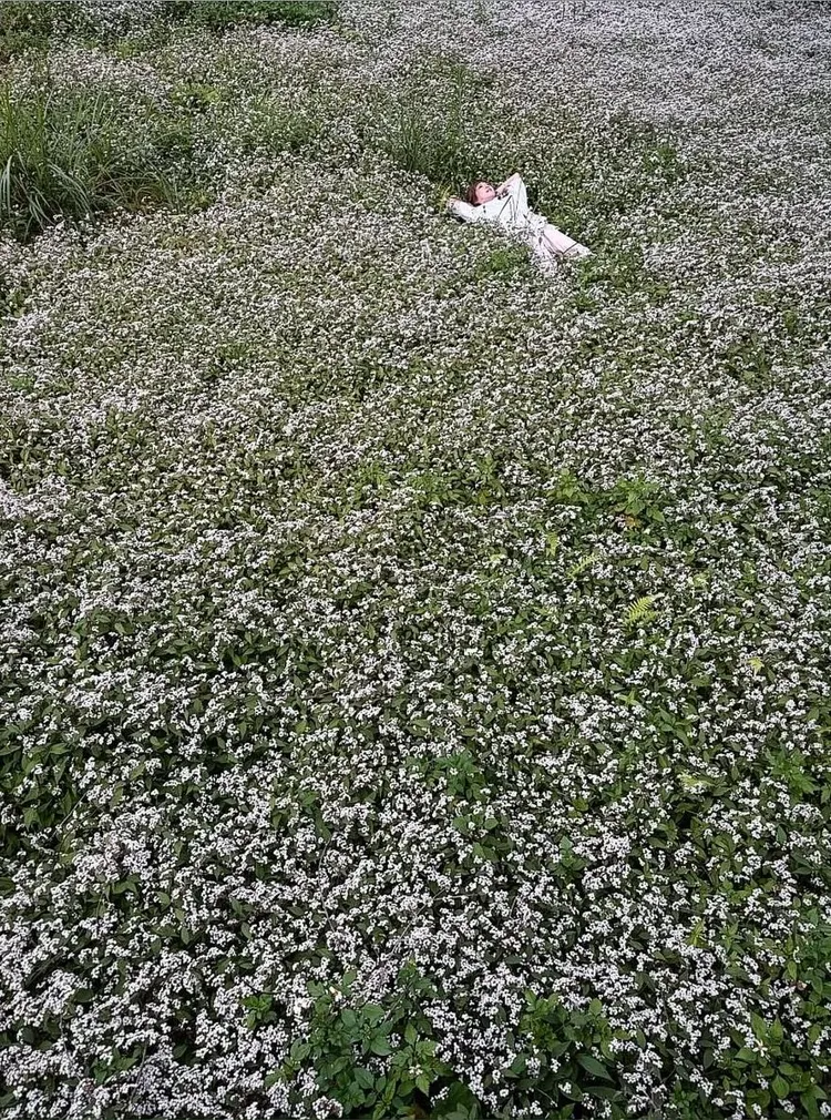 上野樹里在自然風景陪襯下拍照。翻攝上野樹里IG