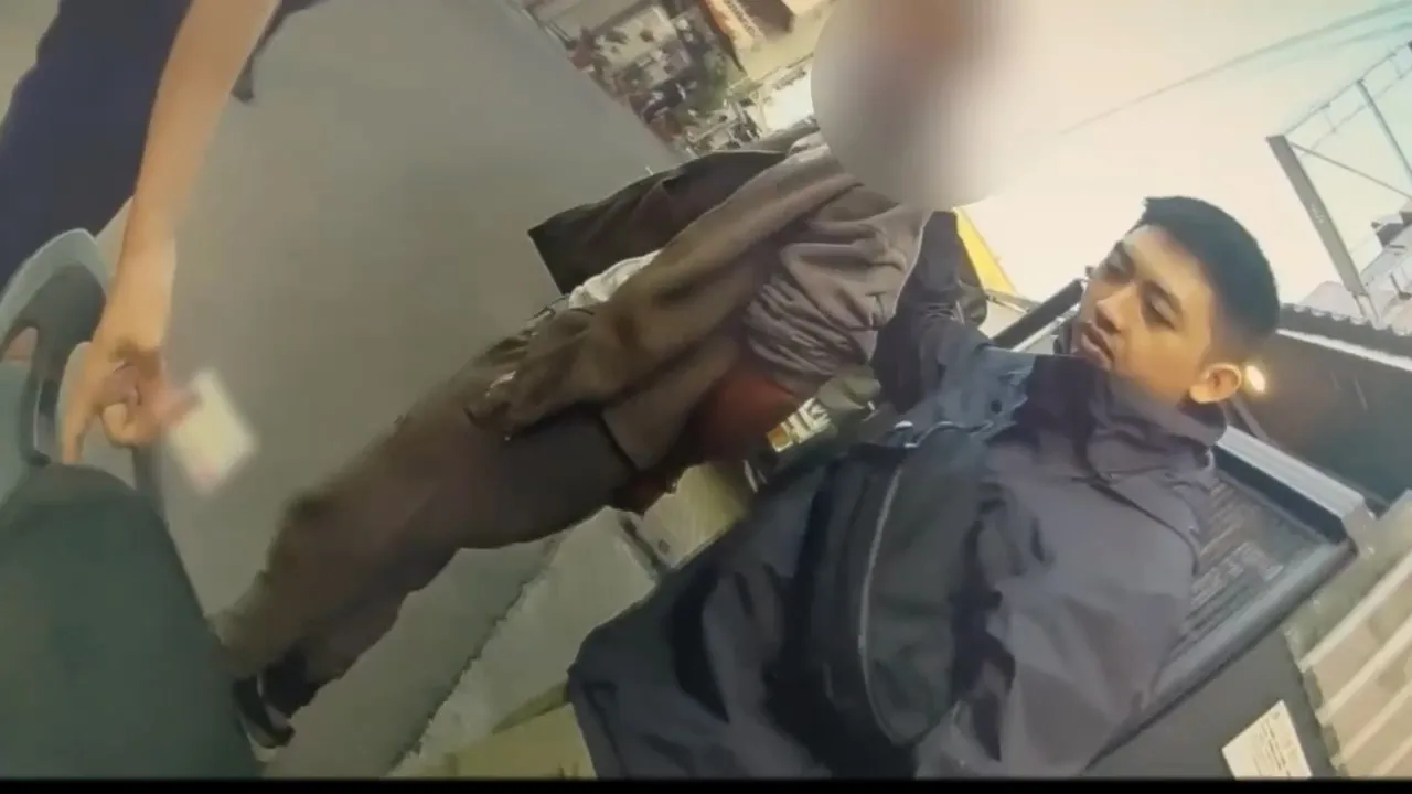 林男被警方逮捕法辦。翻攝畫面