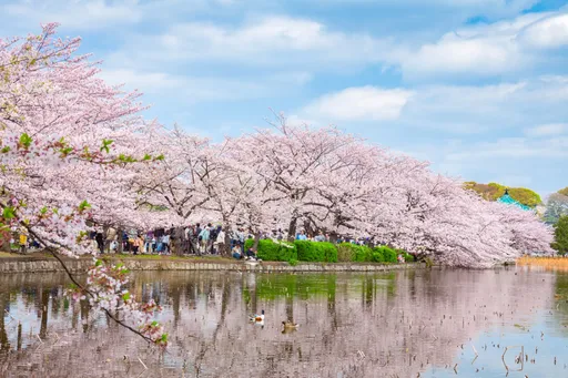 「Horse」超狂優惠開跑　Trip.com馬年首場春季旅展限時登場