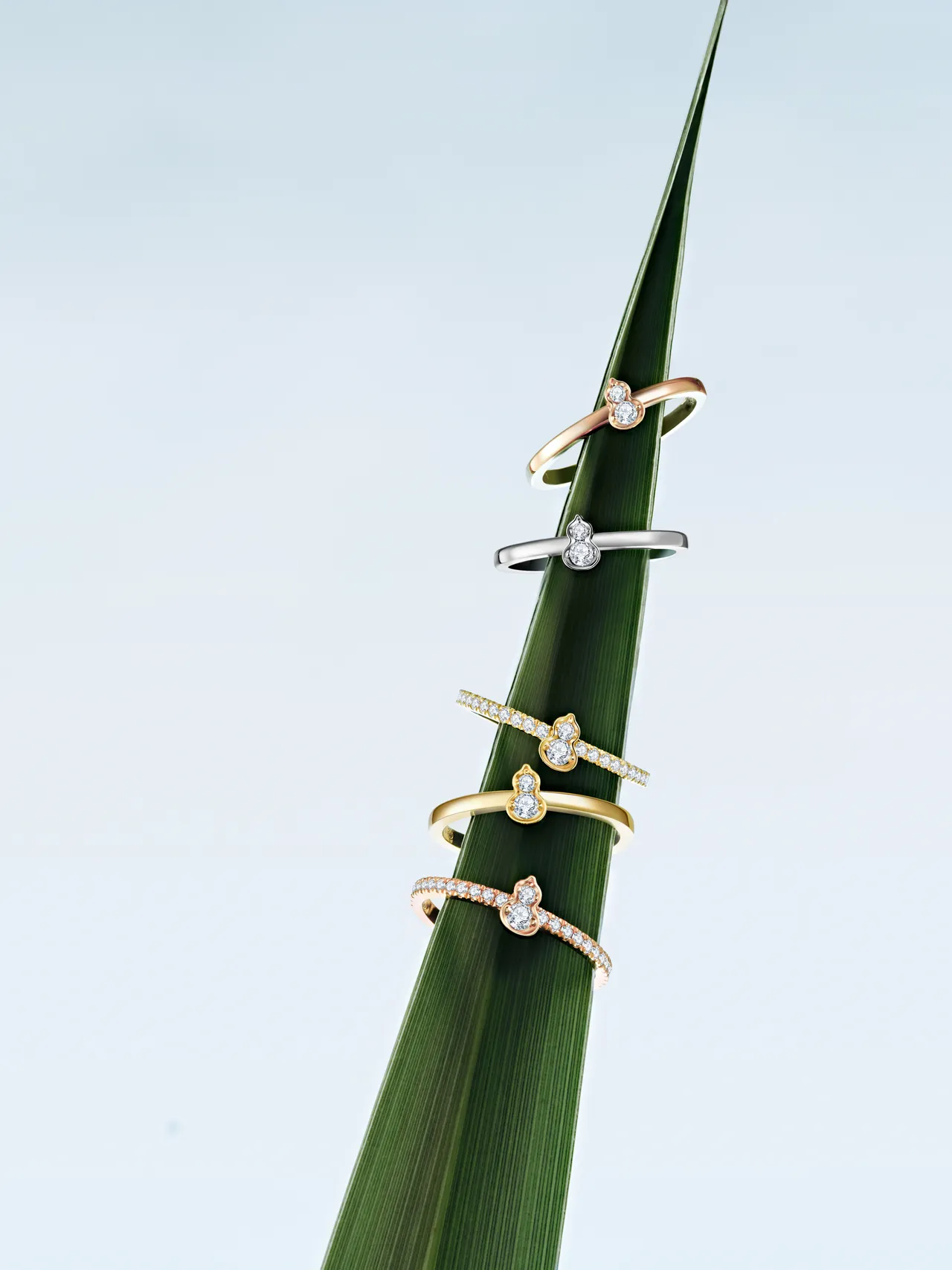 戒指提供光面或密鑲鑽石設計，搭配18K白金、黃金及玫瑰金3種金屬色調。品牌提供