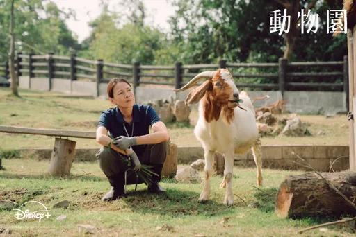 金鐘影后「慟失女兒」所有細胞都在痛　邵雨薇看哭了