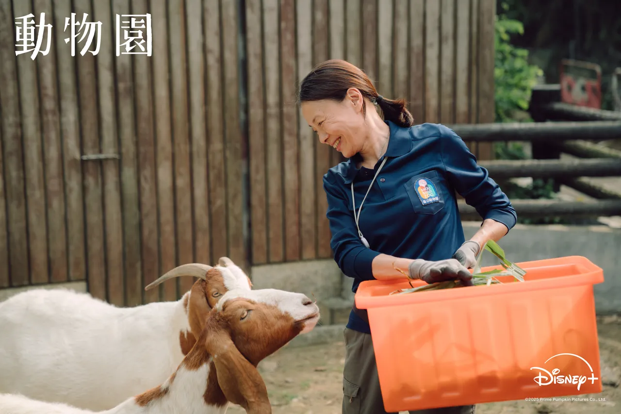 柯淑勤和動物培養感情。Disney+提供