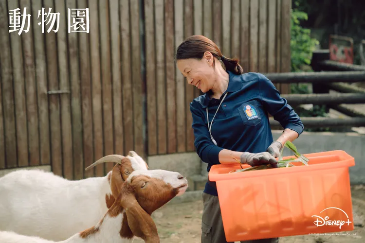 柯淑勤和動物培養感情。Disney+提供