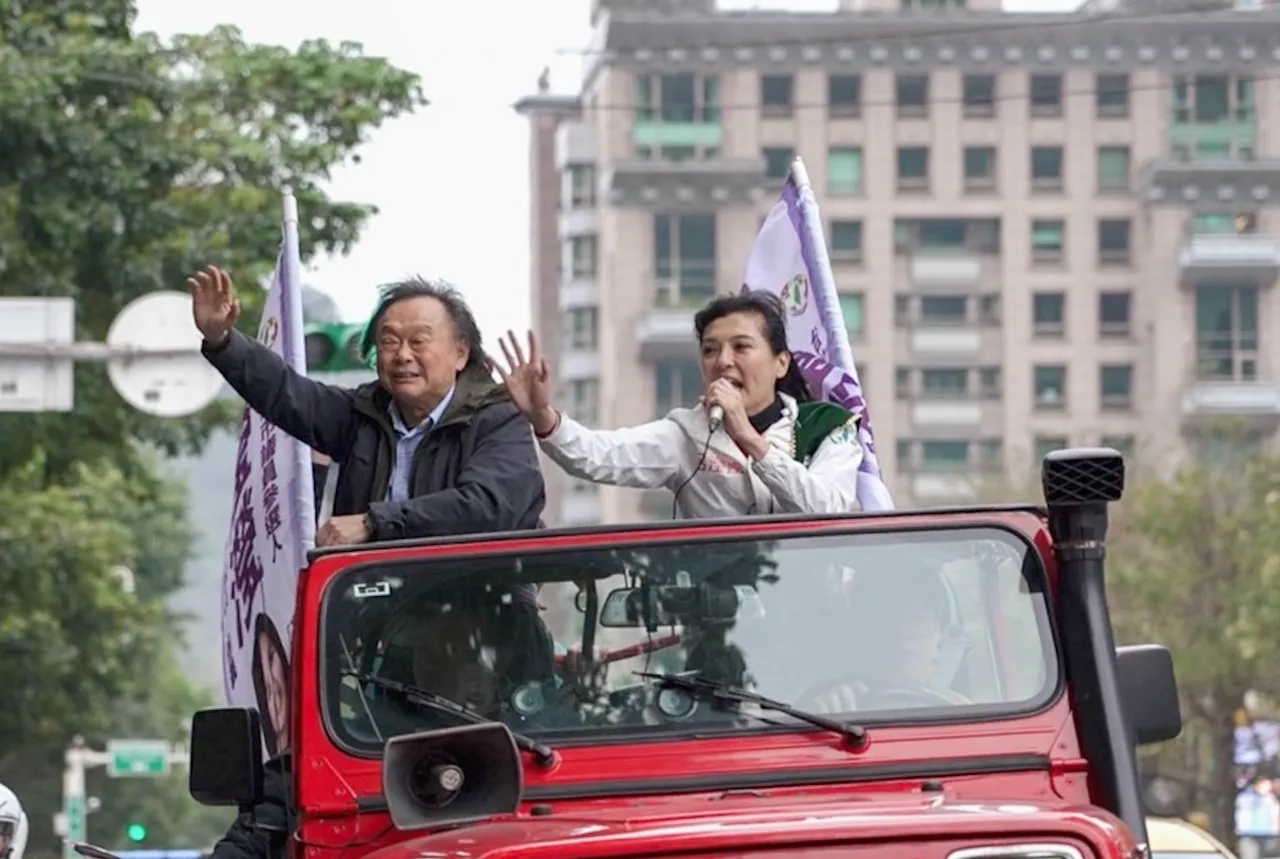 母雞落漆？ 王世堅2子弟兵落馬！　她分析「吸票黑洞」