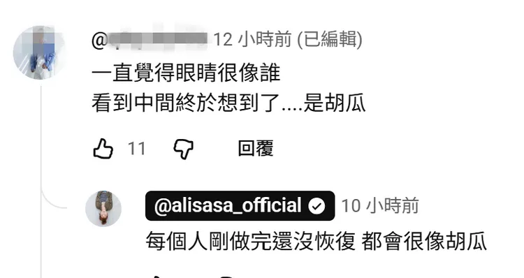 愛莉莎莎親留言回覆網友認為撞臉胡瓜的提問。翻攝自愛莉莎莎YouTube
