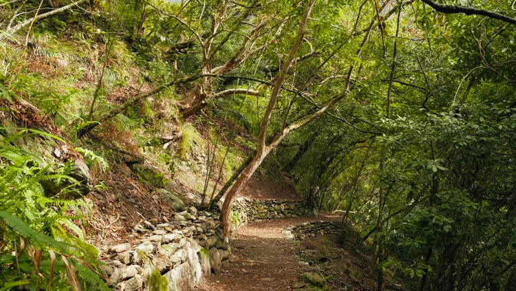 太魯閣晶英酒店「綠水森態漫遊」遊程，途經志工親手堆砌的步道駁坎。太魯閣晶英酒店提供