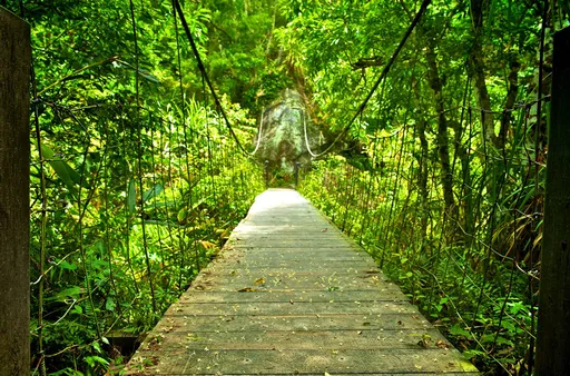 綠水文山步道睽違670天再開放　太魯閣晶英推導覽行程陪旅人走春