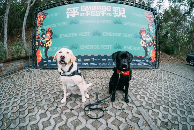 現場有豆皮水水（左）、IDOL兩隻緝毒犬坐鎮。浮現祭提供