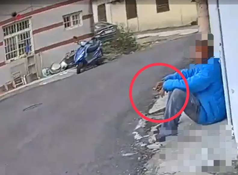 環保局回應，稽查人員接獲檢舉，2月24日找到林男，他坦承行為才開單舉發。翻攝照片