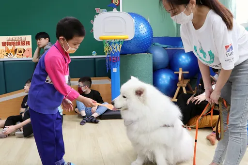 毛小孩陪讀迎兒童節！新莊裕民分館推暖心服務　療癒特教學童閱讀時光