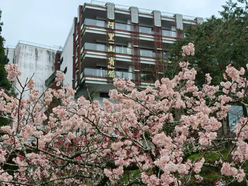 阿里山花季百花齊放　阿里山賓館攜手達人領路森林鐵道秘境