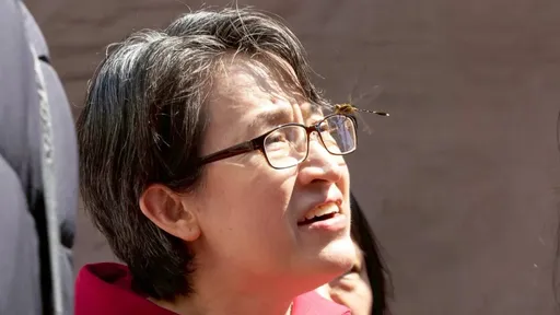 台灣人出征澳投手「與小粉紅同文同種」　Cheap憶蕭美琴當年惹毛洋基