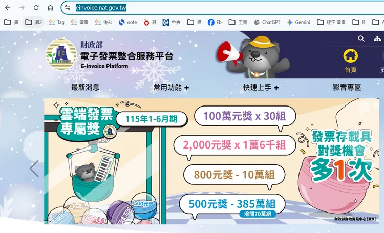 民眾須確認正確的財政部官方網站，不要隨便輸入個資。圖取自財政部電子發票平台