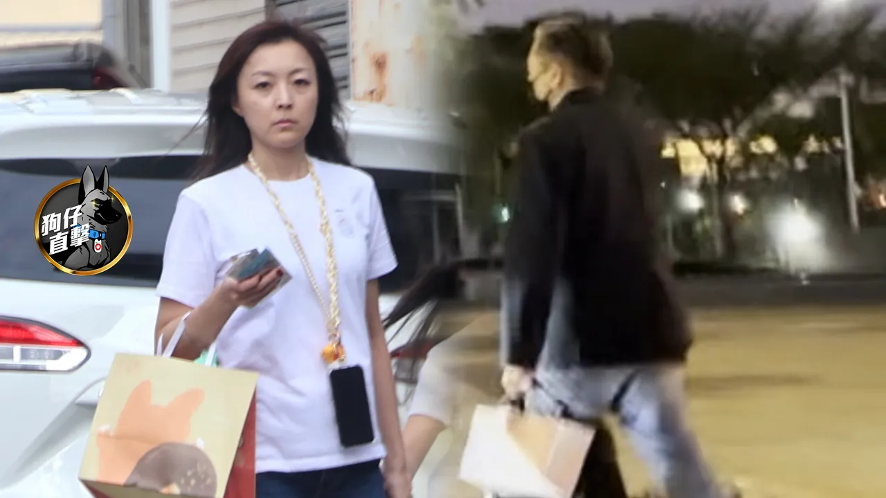 劉怡萱（左圖）返台南老家回歸家庭生活，王定宇搭高鐵回選區固樁。合成照片、特勤中心攝