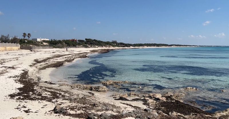 美景美食美音!南義開闢300公里單車道 慢遊古蹟海景世外桃源