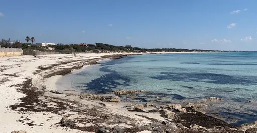 美景美食美音！南義開闢300公里單車道　慢遊古蹟海景世外桃源