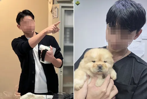 網紅獸醫被爆「劈4多金女」　2家醫院急切割：已解職
