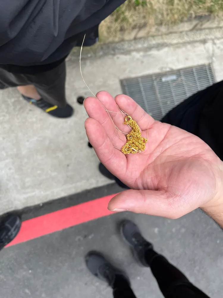 警方找回被藏於花圃的金項鍊。翻攝畫面