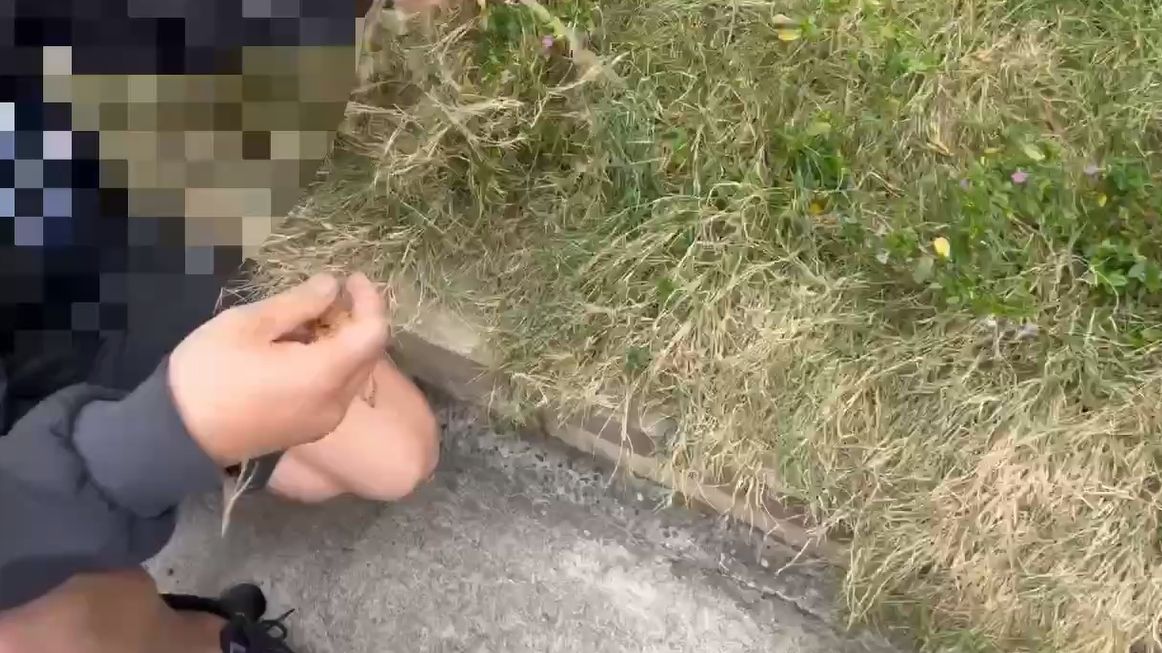 找搬家公司卻被工人竊走金項鍊 贓物藏花圃!女無奈:說是第一天上班...