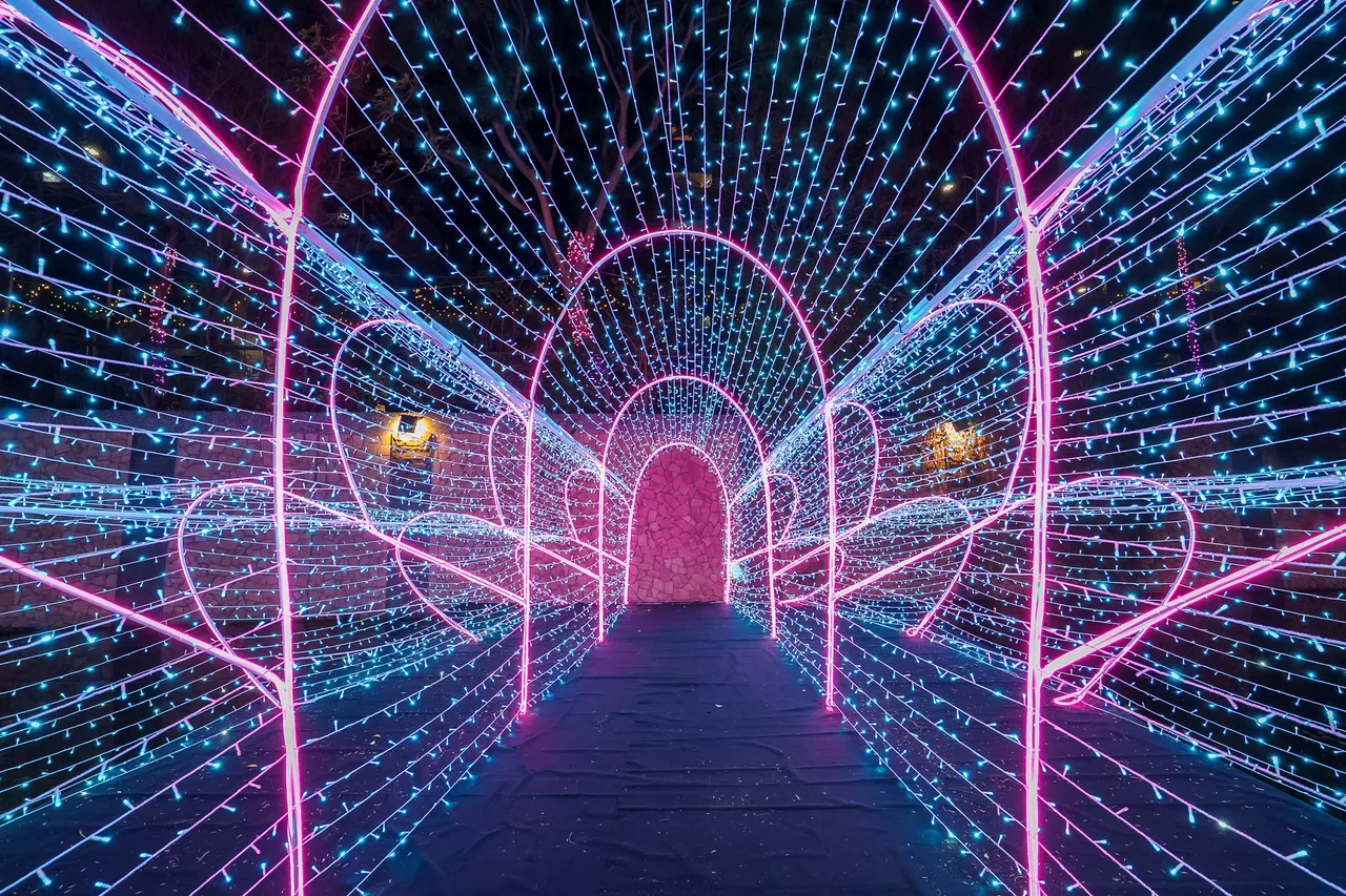 星光燈飾沿著河廊延伸，與夜色中的中港大排相互輝映。水利局提供