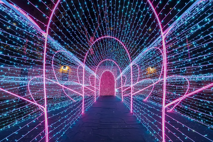 星光燈飾沿著河廊延伸，與夜色中的中港大排相互輝映。水利局提供