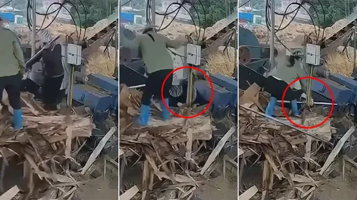 驚悚！碎木機「吞42歲女」當場斬殺　女同事驚恐目擊救不回