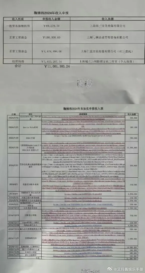 檢舉人附上鞠婧禕未申報收入明細表。翻攝艾瑪醬娛樂手冊微博
