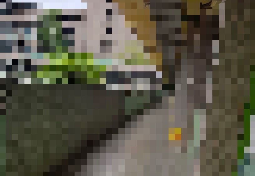 女廁變刑場!國中女遭逼跪踹打還錄影 新北5學生送少年法庭